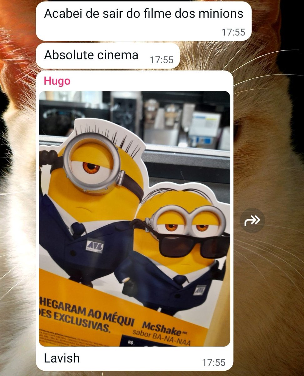 weird fish (@sileennccee) on Twitter photo 