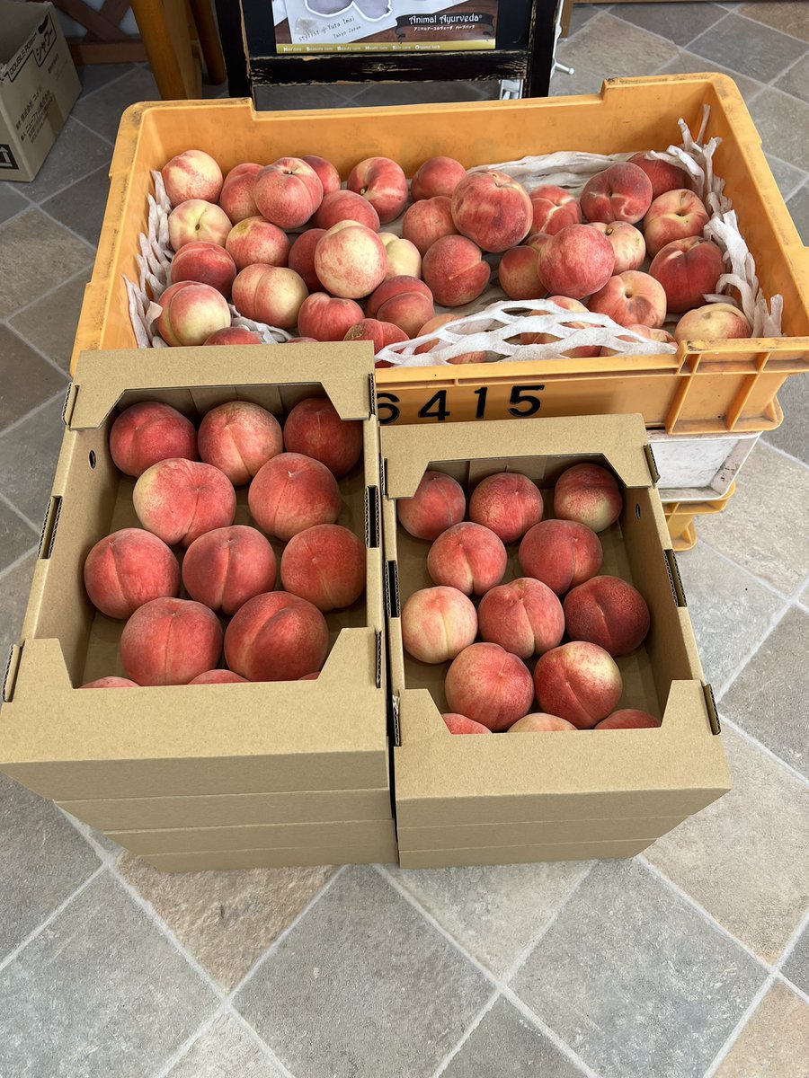 jasmine20190407's tweet photo. 桃7箱入りました！
サービス品の桃あるので是非来てください！！ https://t.co/vvYh3xI3Zs