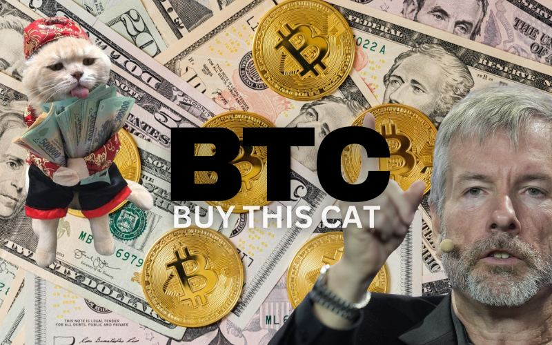 BUYTHISCATcto's tweet photo. big daddy saylor moonie knows what's up

exchanging $BTC for $btc is the kingmaker

will you be the king? buy this cat https://t.co/4LKLjLr5Bl