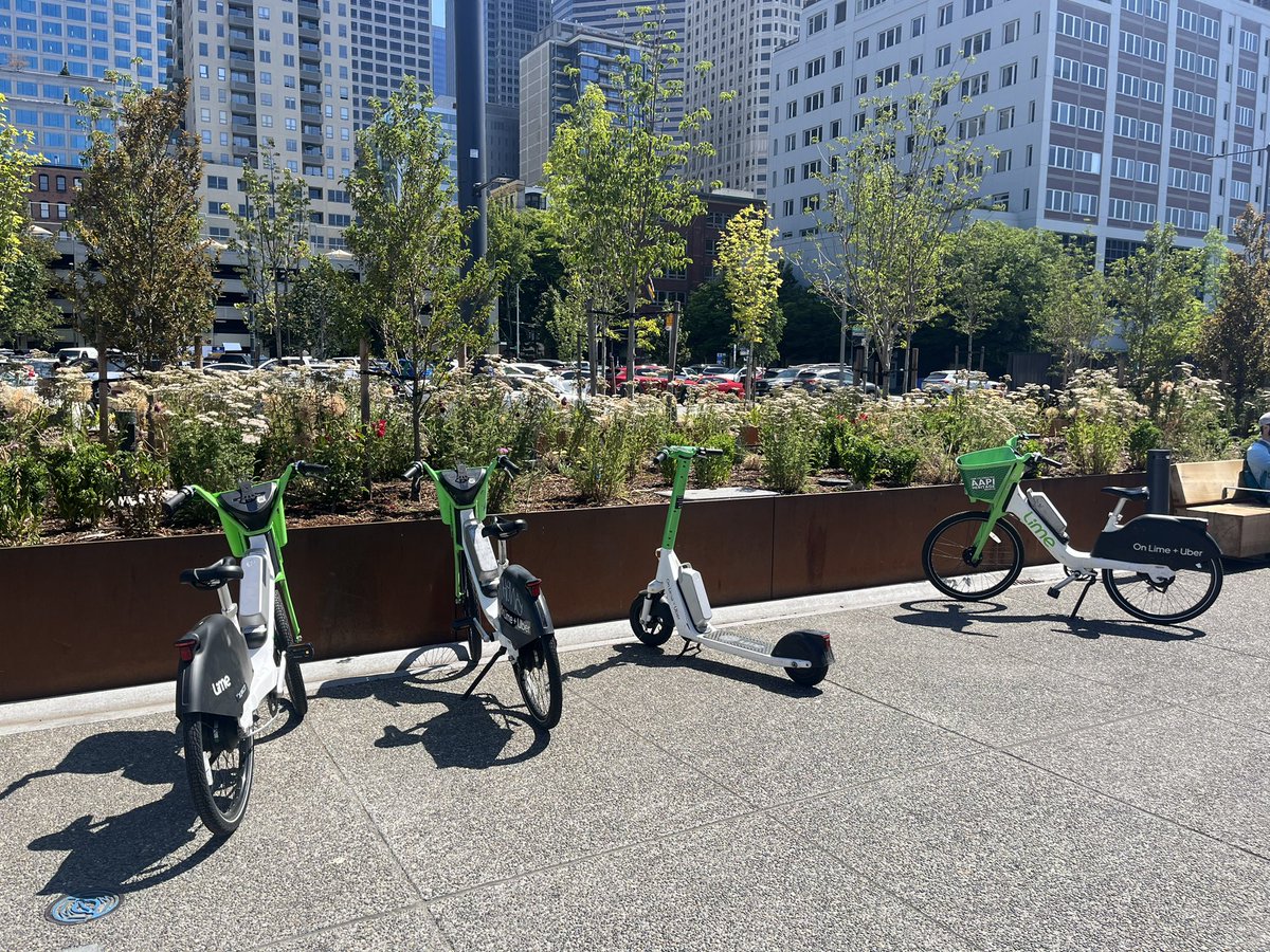 EHDDSeattle's tweet photo. @Qagggy @WaterfrontSEA How about this situation - Lime scooters littering the public space. https://t.co/GUNe0p96fn