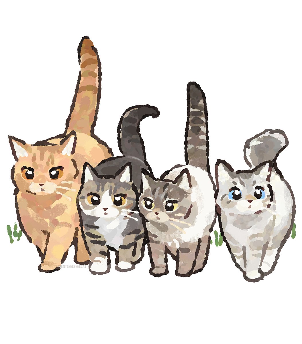 gentleeeeeeecat's tweet photo. https://t.co/qGmzt6SQxQ