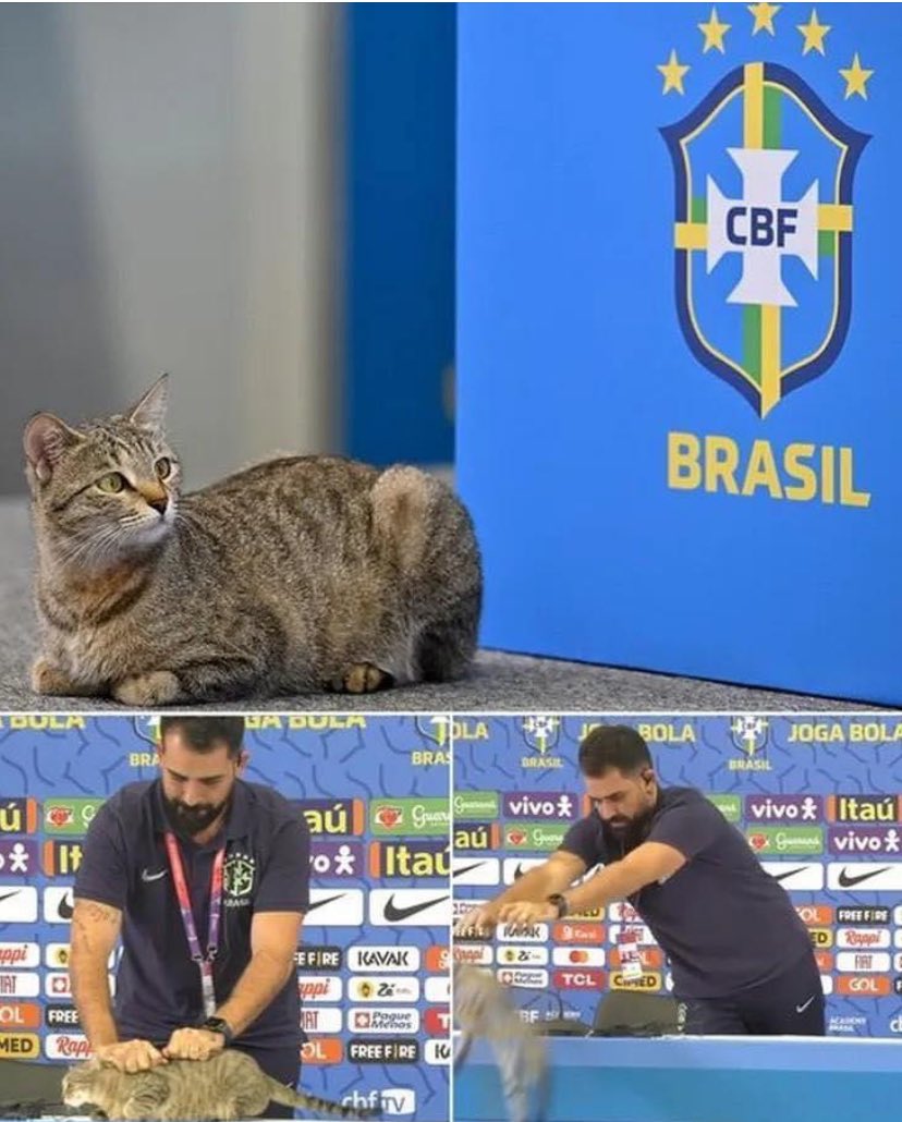 detremura's tweet photo. ❌ Tite deixou seu cargo depois de 6 anos
❌ Neymar quebrou os ligamentos cruzados e nunca mais conseguiu jogar regularmente na seleção
❌ Eliminações precoce no Mundial Sub 17 e Sub 20
❌ Perdeu pela primeira vez na história com a Colômbia nas Eliminatórias
❌ Perdeu uma invencibilidade histórica no Maracanã nas Eliminatórias contra a Argentina
❌ Escândalo com Ednaldo Rodriguez, presidente da CBF
❌ Fernando Diniz é destituído como treinador.
❌ Irregularidades andar nas eliminatórias para o Mundial 2026 (hoje em 6° lugar)
❌ Eliminação nas quartas de final da Copa América 2024 contra o Uruguai

Tudo isso desde aquele famoso momento do gato. Sim, a maldição é real. 😳🇧🇷

(Futebol Mil Grau)