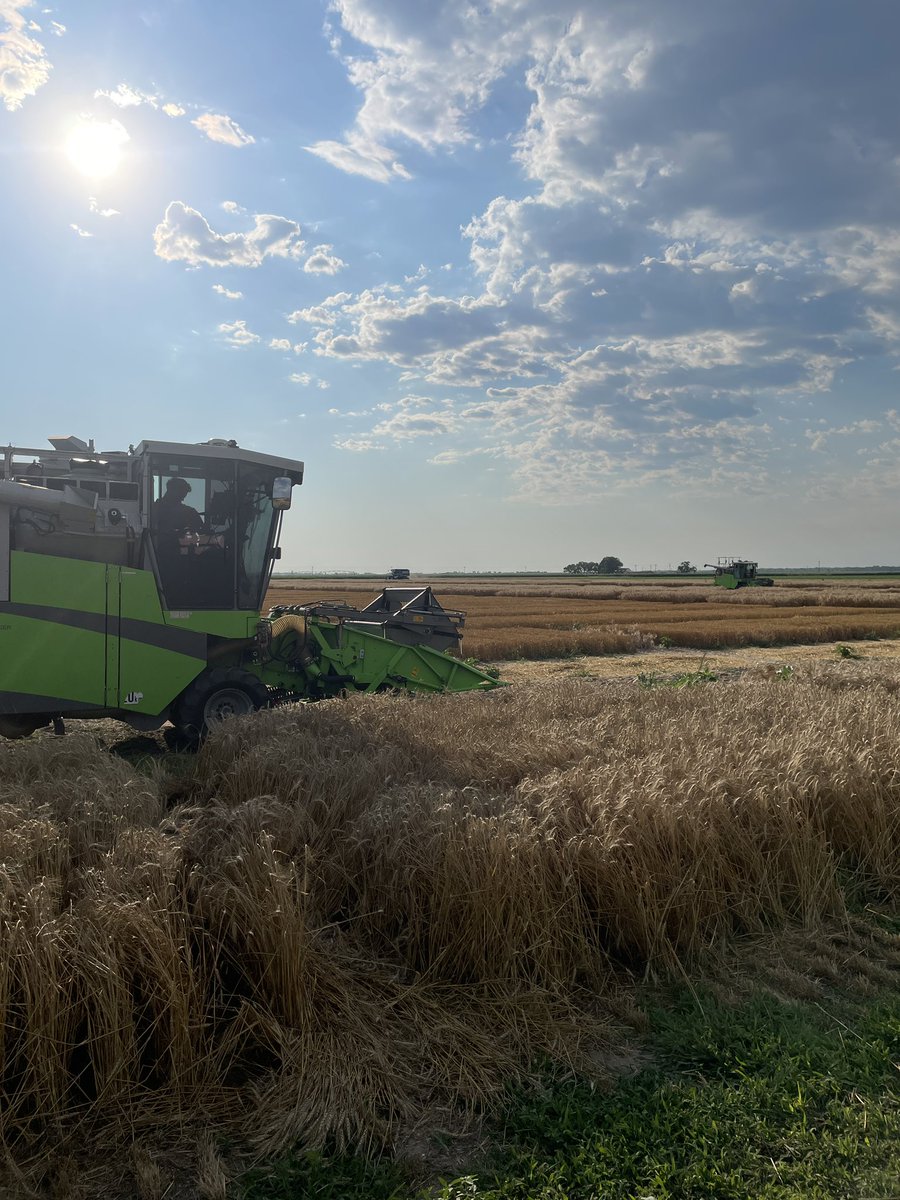 Bayer Crop Science, Gothenburg Learning Center tweet media