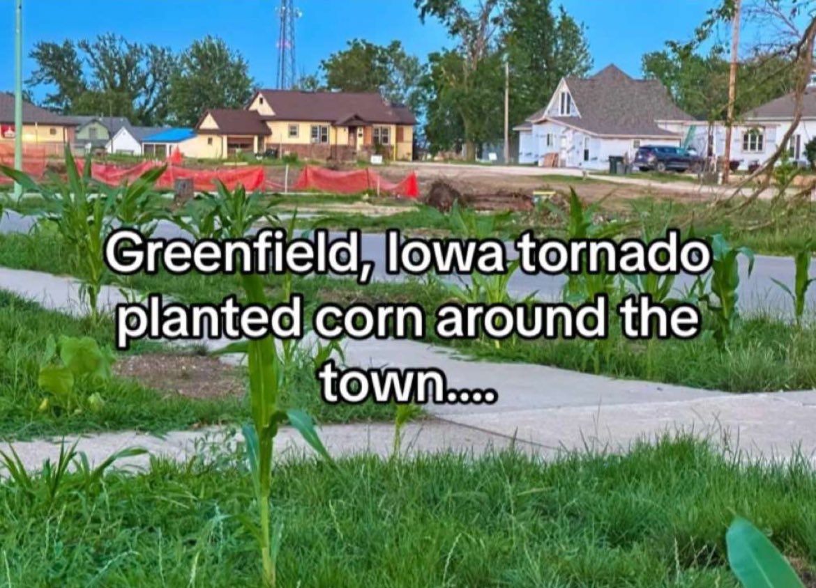 Matt Nelson tweet media