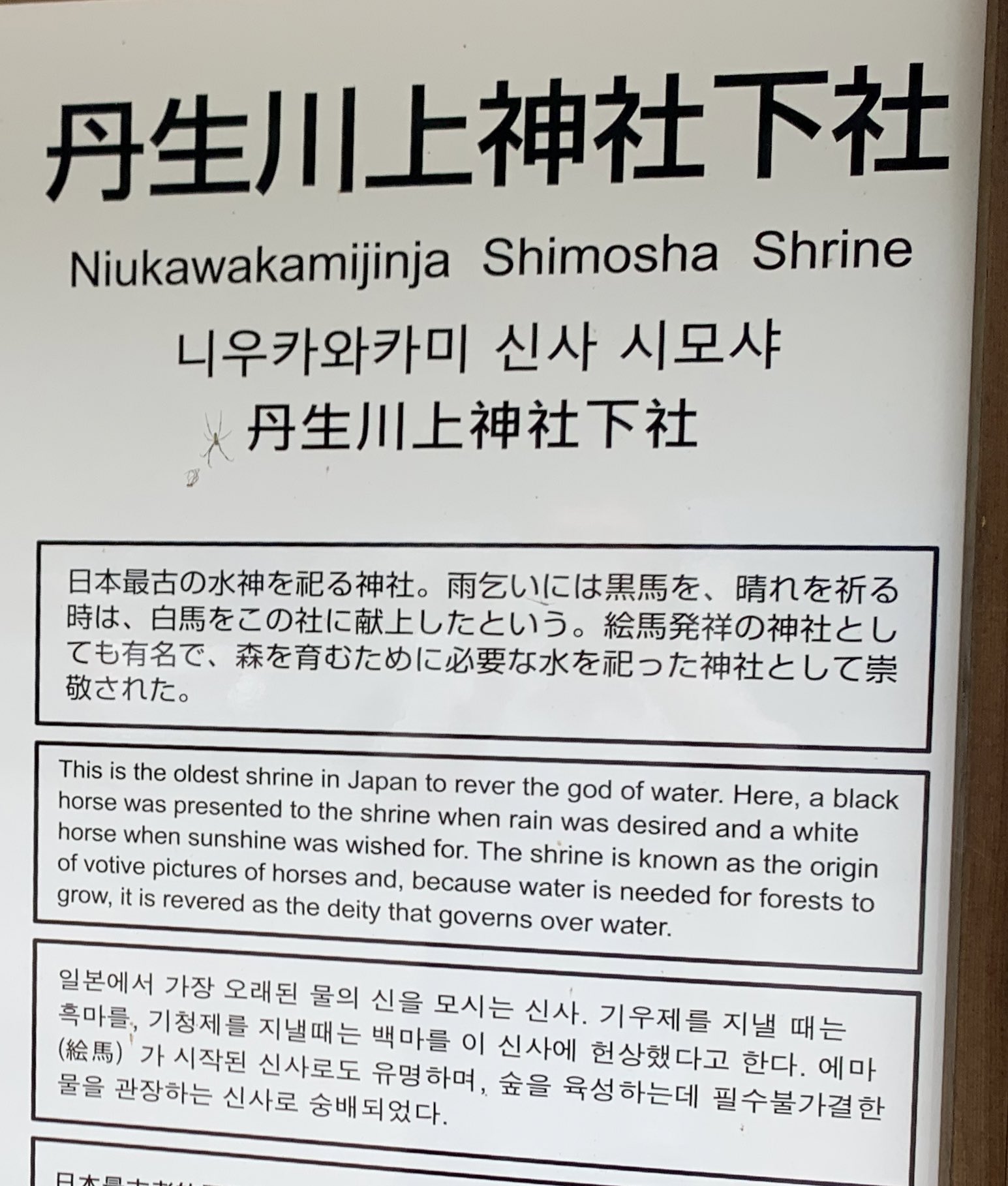 Amazon.co.jp: 敬山造 白馬黒馬絵馬図茶碗 白馬は祈晴、黒馬は祈