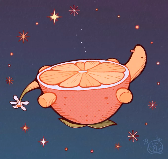 orange turtle 
