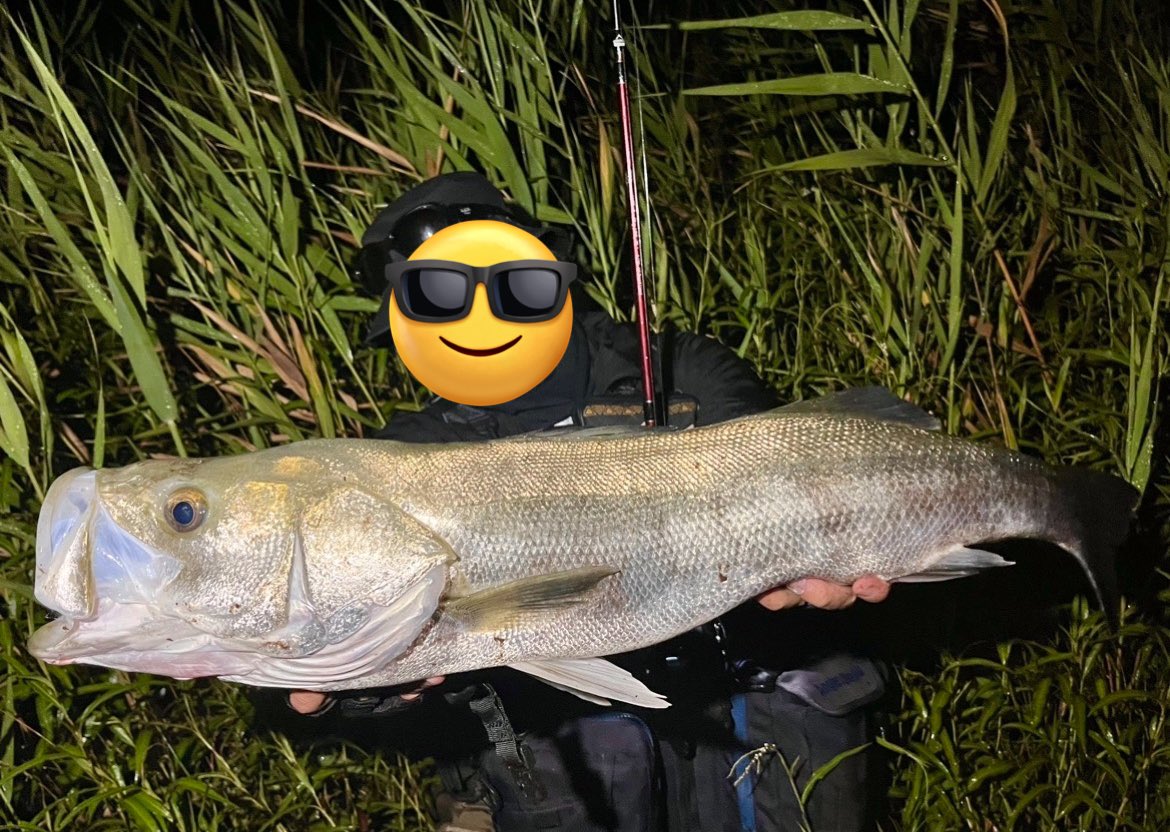 TsuBucky a.k.a 釣らない浪費家 tweet media