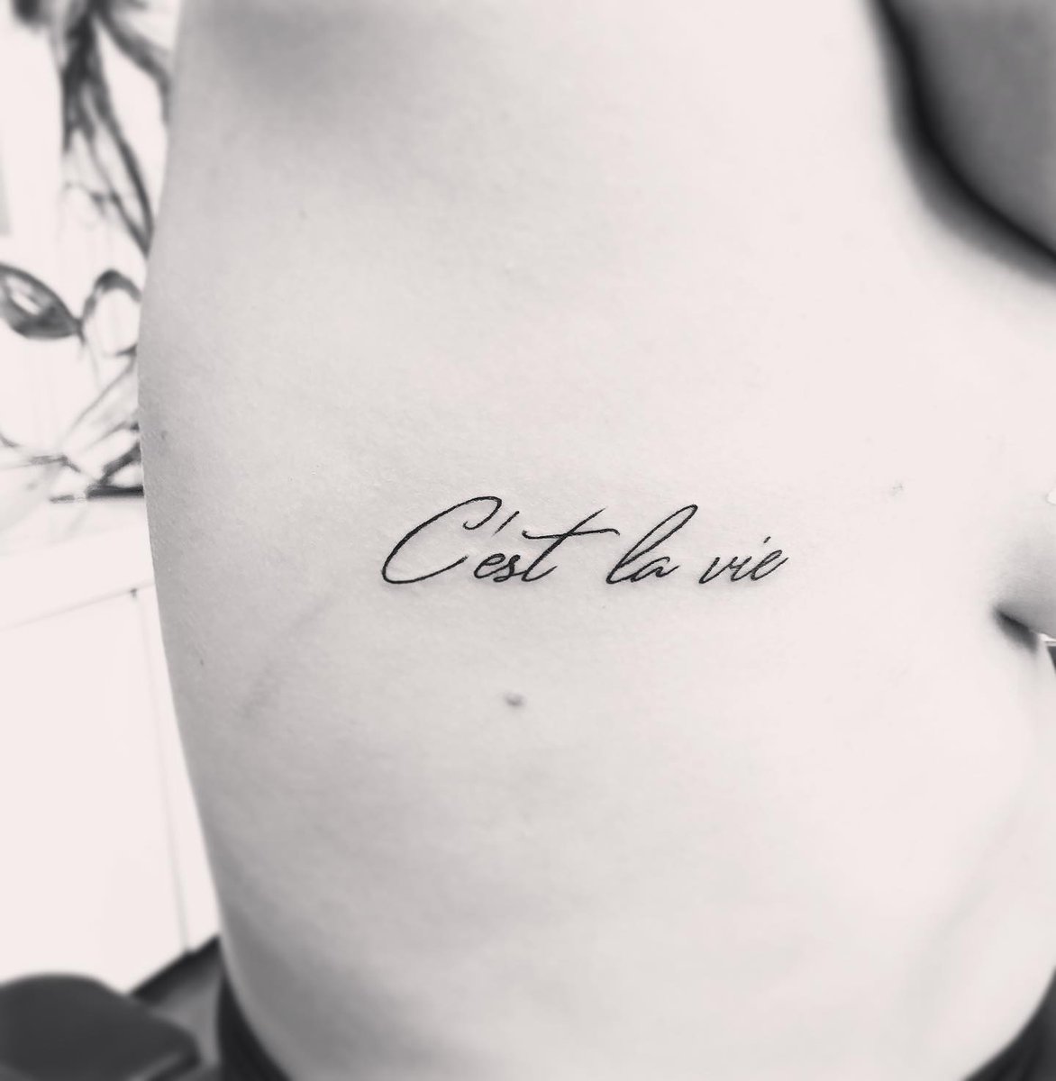 tyre_mcbride's tweet photo. #finelinetattoo #finelinelettering https://t.co/zjlrwQz2tR