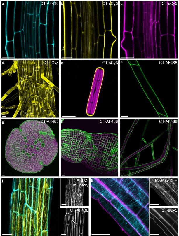 Plant Science tweet media