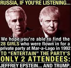 ProgressiveTex's tweet photo. The #TrumpPedoFiles detail a close relationship between Epstein, Trump and lots of little girls. #ProudBlue https://t.co/mwZcJbdRIg