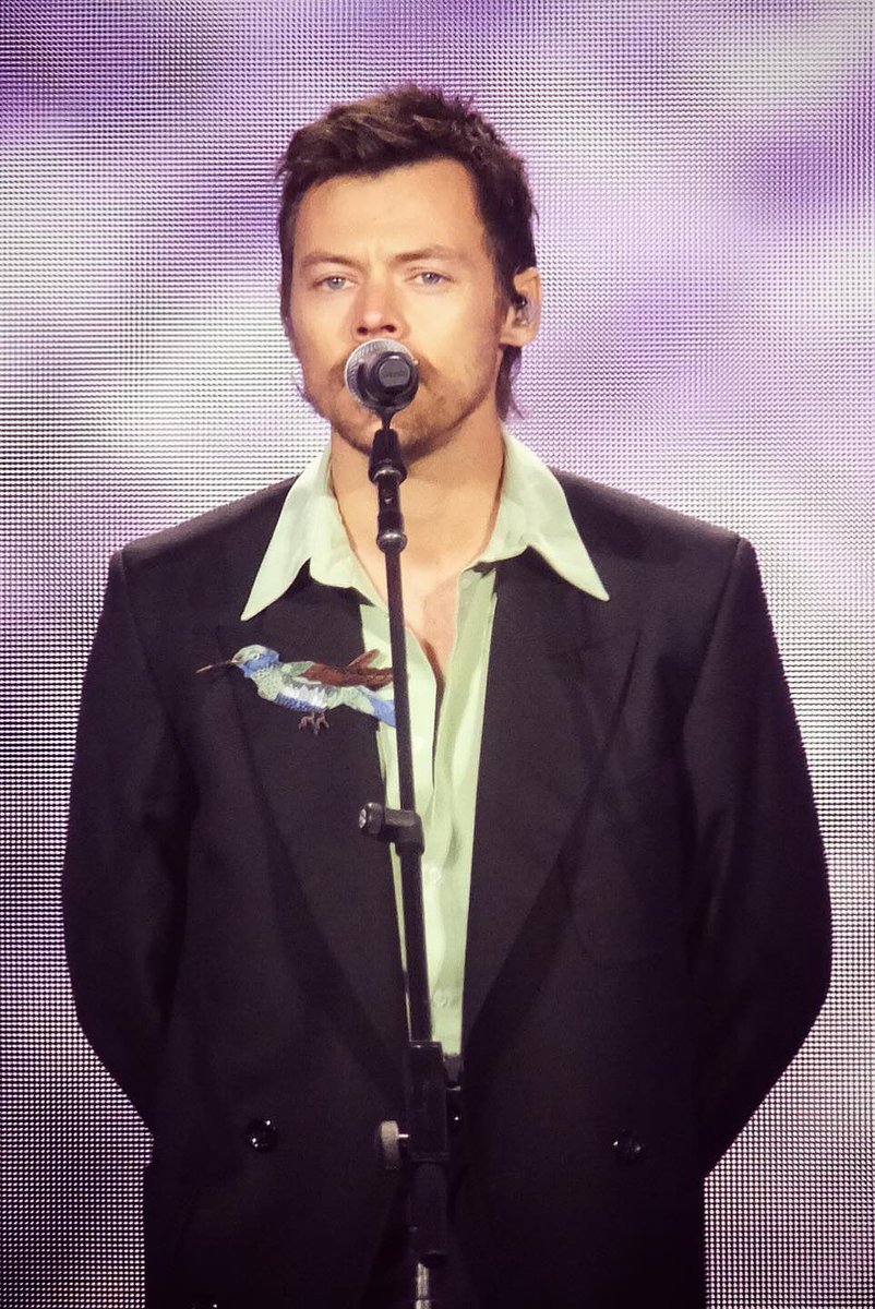 hourlyharrys's tweet photo. LOVE OF MY LIFE. https://t.co/CHMk0mgdBn