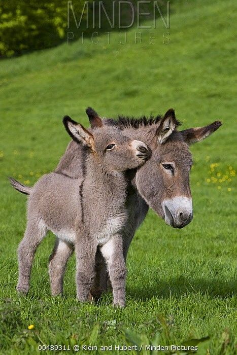 vivaneil (@vivaneil1234) on Twitter photo 