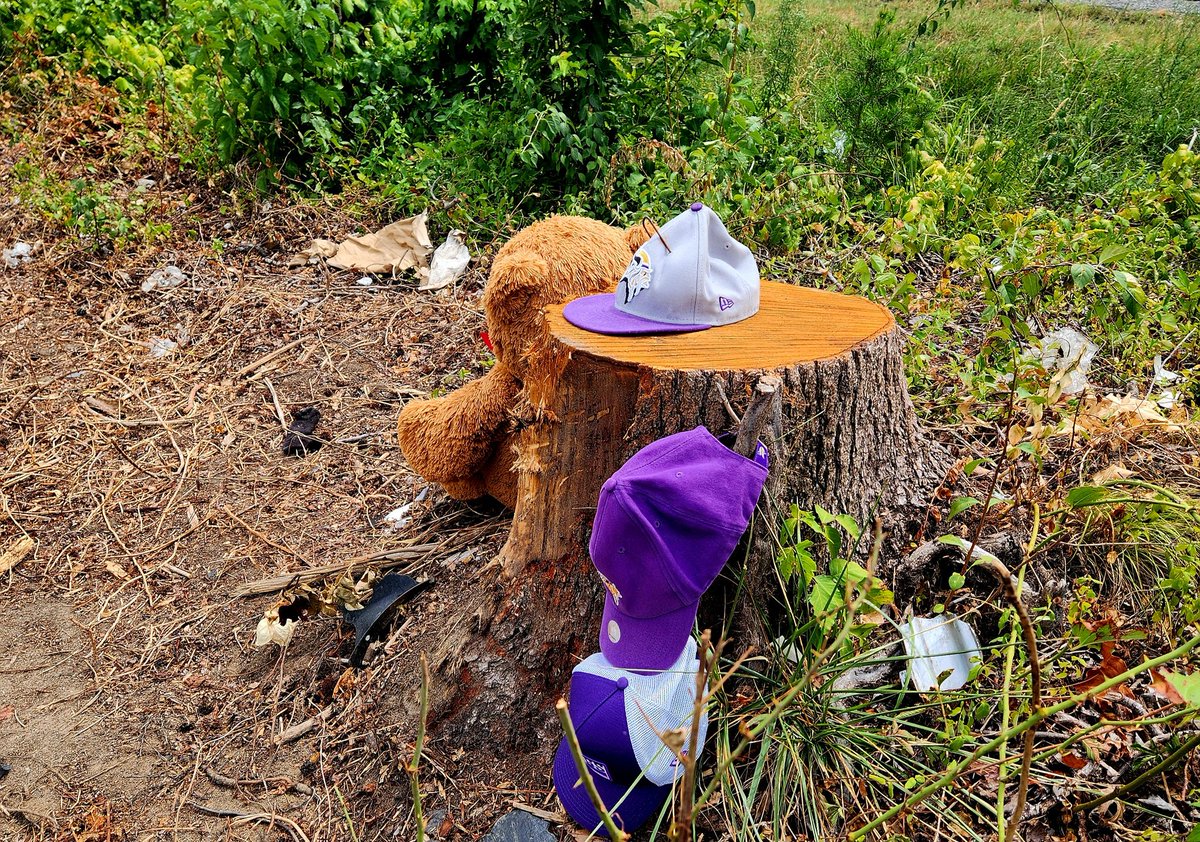 SKOL_AllDay's tweet photo. Was able to leave a hat this time....
Rest easy Reeksi, Isaiah, &AJ๐๐๐
My prayers to all the families ๐
#PGsFinest #LongLive31 #LoveForKhyree #skol https://t.co/uUk5Jvubf2