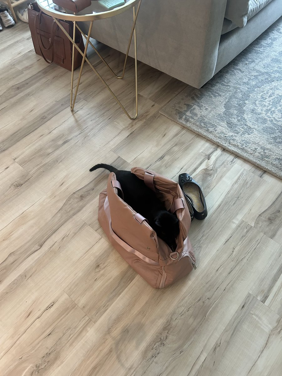 anygabrielly's tweet photo. minha filha sendo safada na casa dos outros eu que eduquei https://t.co/WZhuHr3LkL