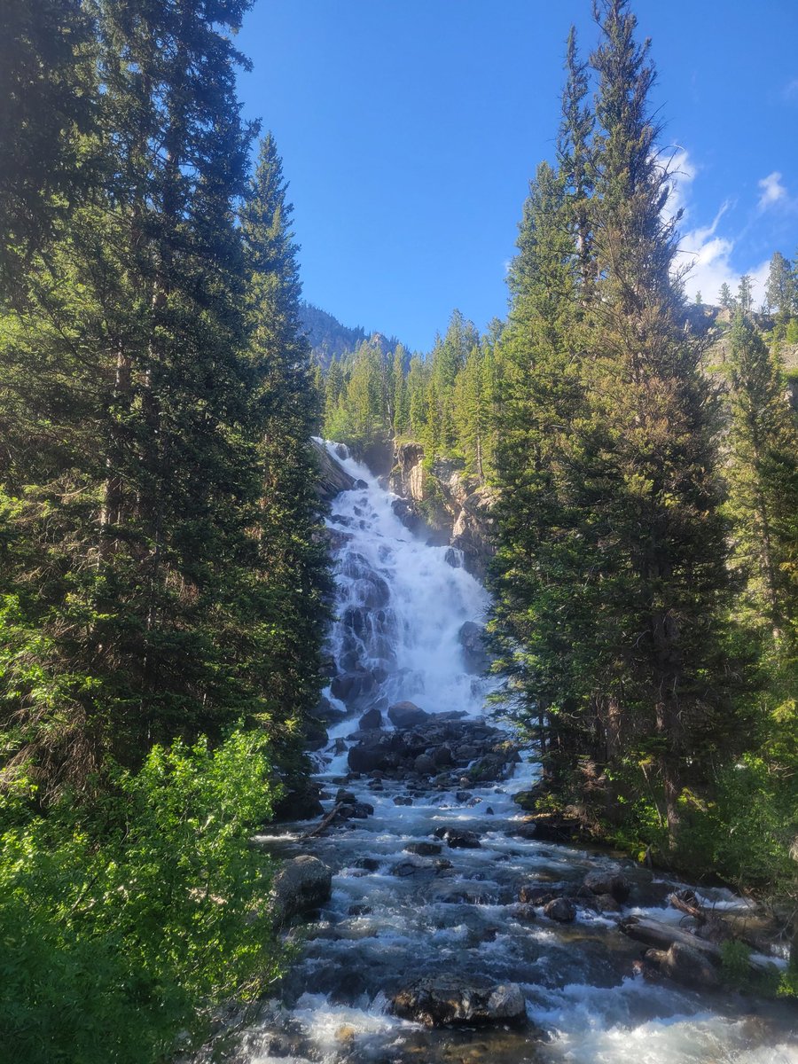dawsonskillbui1's tweet photo. #WildlyWyoming #Contest @GrandTetonNPS #LakeJenny Boat ride and hike https://t.co/hw61KaUjbz
