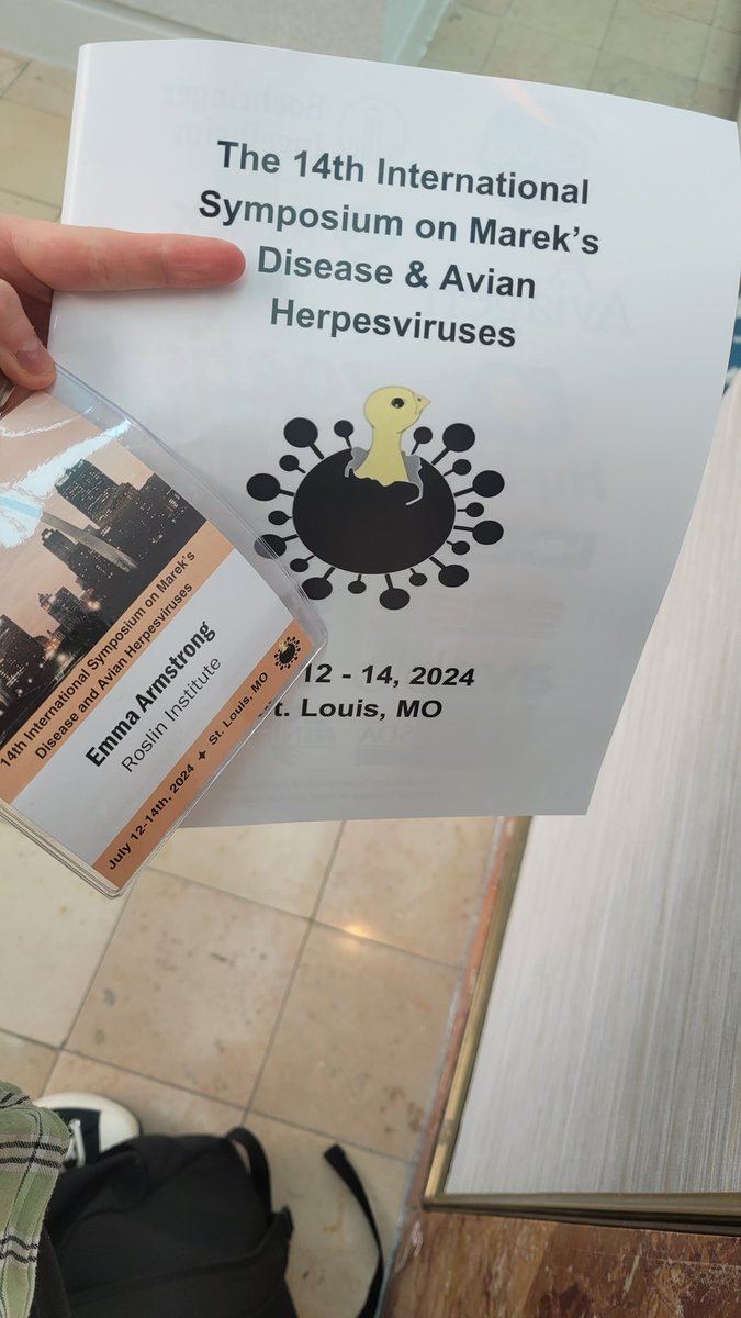 Emma Armstrong tweet media