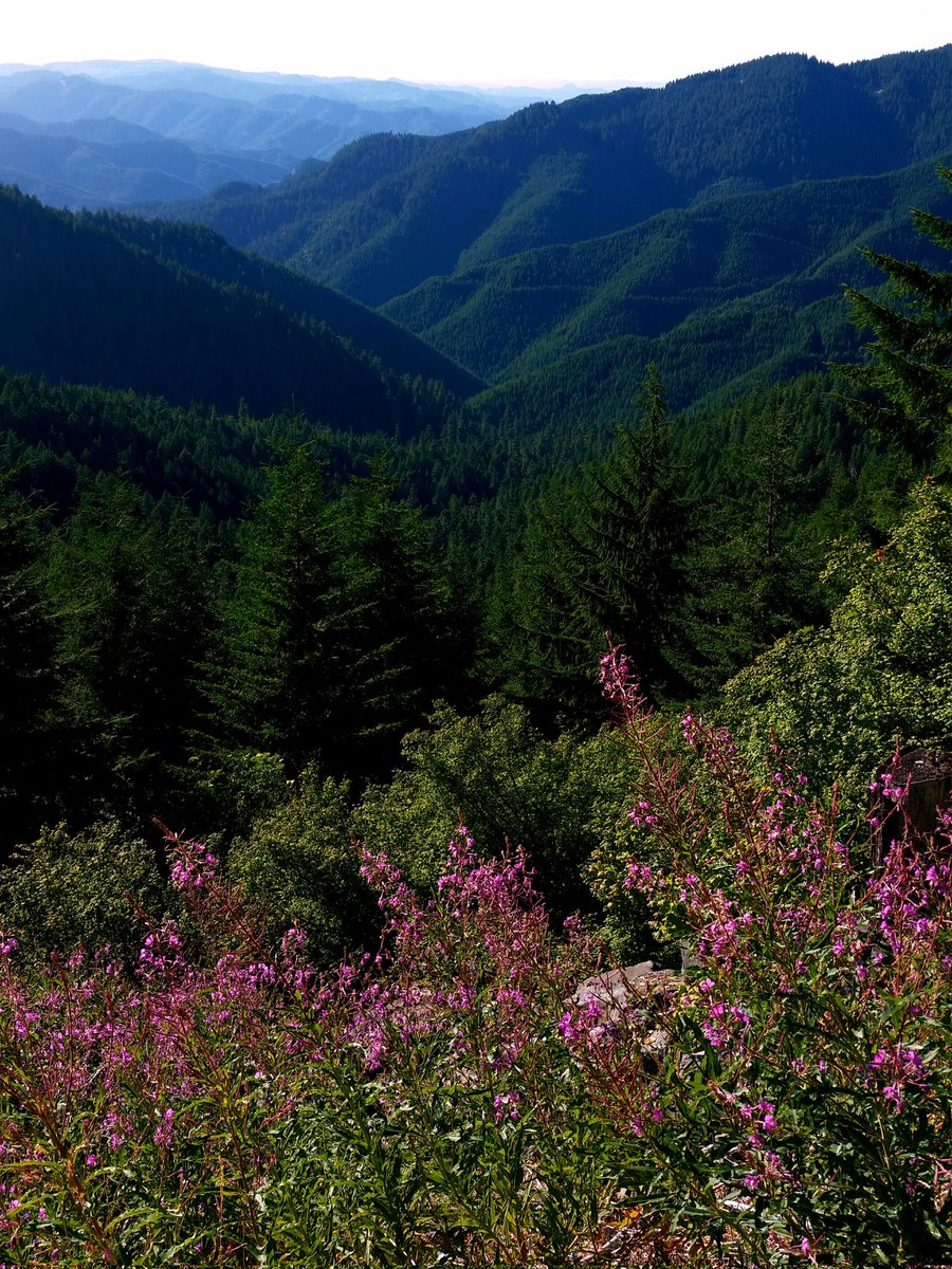 Middle of somewhere spectacular, Oregon.
#Nature #Oregon #photograghy