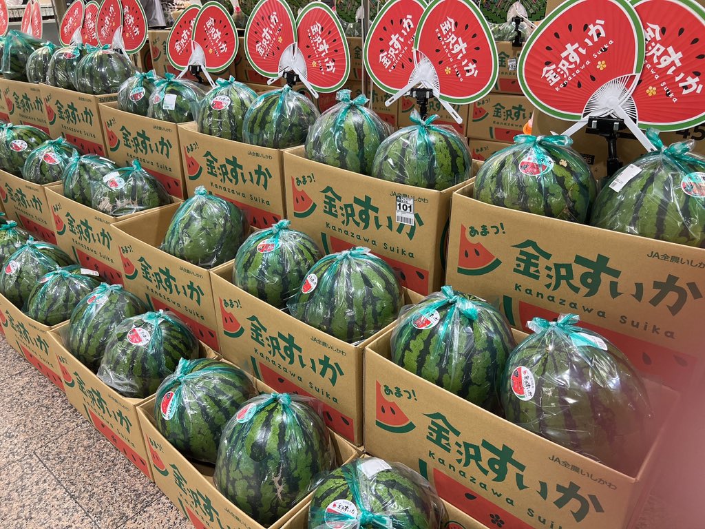 お問い合わせ】 「金沢すいか」のうちわ🍉、 どこで手に入りますか