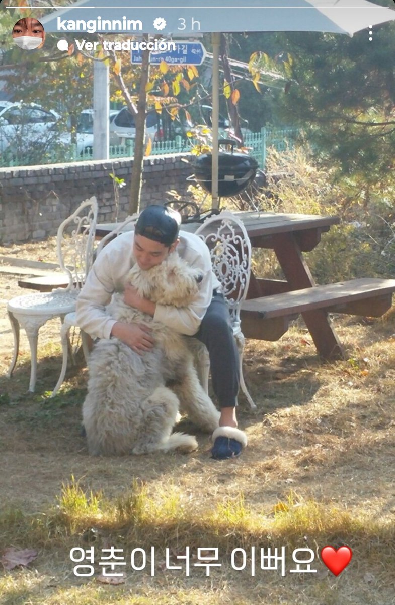 ikki_sj's tweet photo. hoy partió youngchun al cielo de las mascotas :( con razón kangin subió esto a historias, me rompe el corazón 💔 https://t.co/zMd1tMxYwu