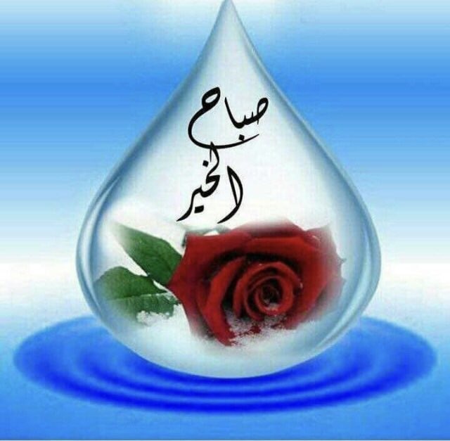 AbwAlhrwrh's tweet photo. نحن بسطاء جدا من الداخل
     سعادتنا لا تكلف الكثير..
      كلمة..ورده..ابتسامة..
    تشعرنا إننا ملكنا الدنيا...
  تهادوا السعاده وإحيوا الحب...
   بأبسط ماتملكون...

.

#صباح_الخير  ♥️ https://t.co/pgj0Tj0k1I