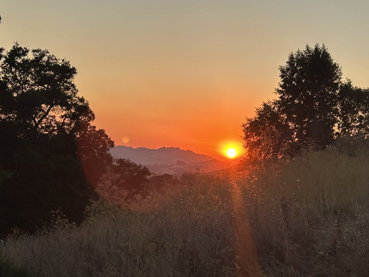 stuartkirsch's tweet image. May the beauty of the Sabbath bring us all closer to peace and to wholeness. Let us build our broken world from love. #ShabbatShalom