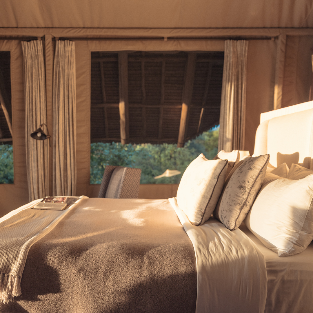 Finch Hattons Luxury Tented Camp tweet media