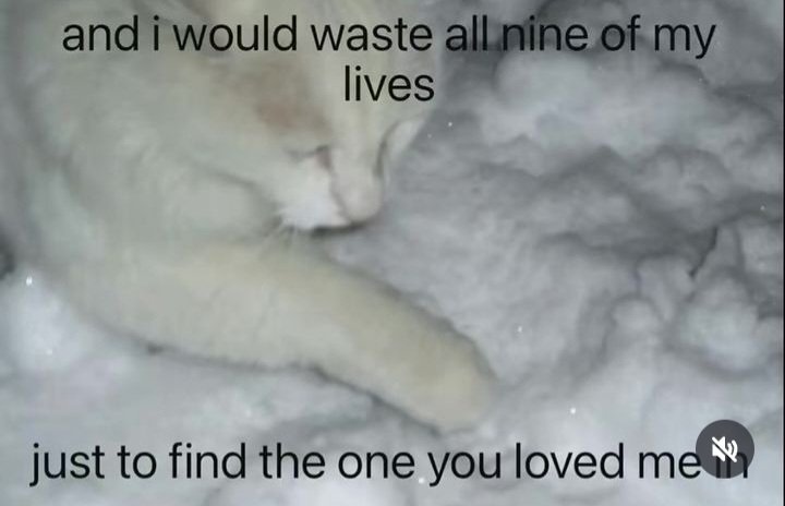 mightylotus's tweet photo. https://t.co/TWxxdeDRss
