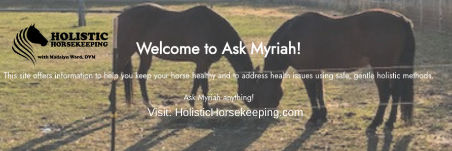 madalynward's tweet photo. Ask Myriah a Question!!
Dr. Madalyn Ward has developed a free self-help platform, entitled AskMyriah. 
Detailed answers and recommendations are given and are based on Dr. Ward's 30 years of direct experience and case work. 
We invite you to give it a try:
https://t.co/AAC5LJxDTv https://t.co/FsCPvZBeVe