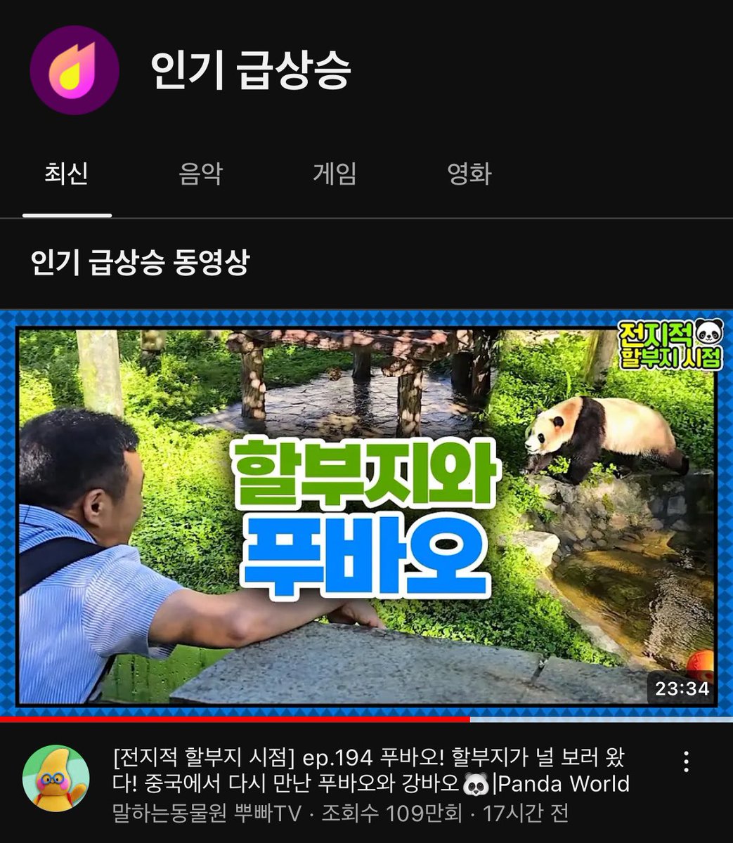 avocado_bao's tweet photo. 전할시 인급동 1위 https://t.co/jCoVzpIxRR