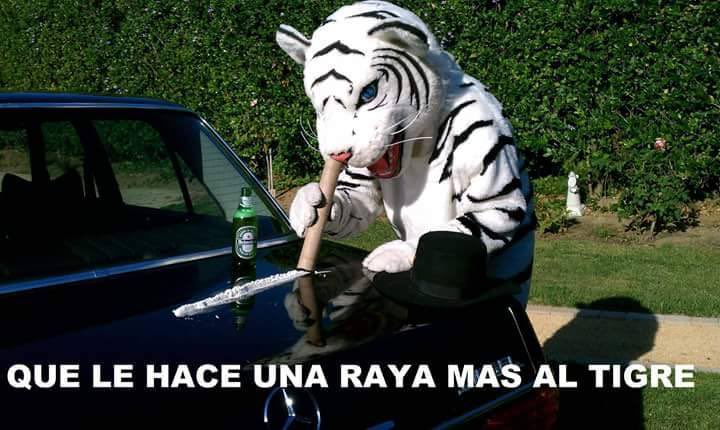 piponsimon's tweet photo. S3b4st14n antes de entrar a la casa #GranHermanoCHV https://t.co/AWKmRtrVny