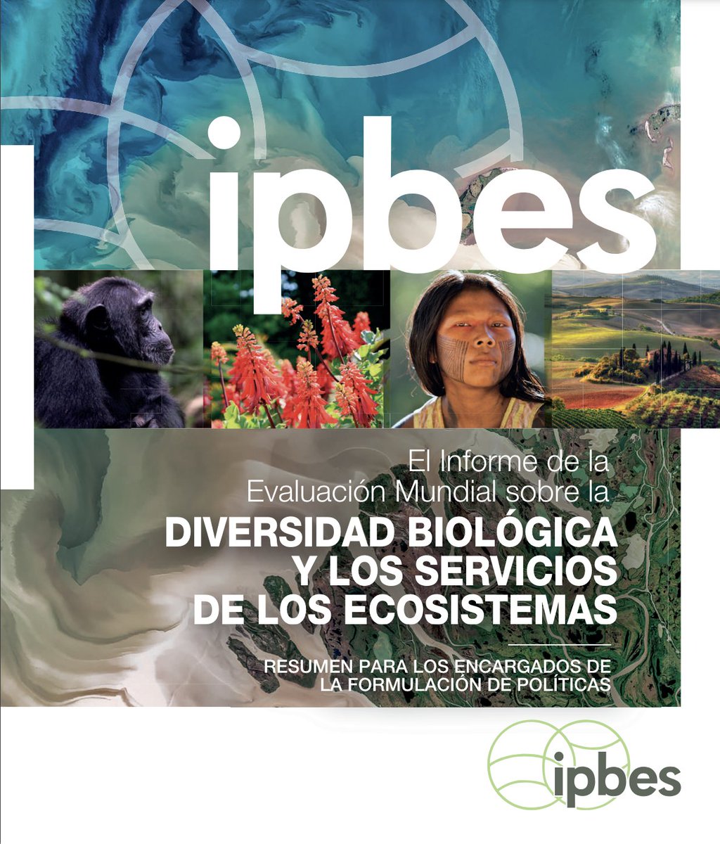 #LecturaRecomendada | <a href="/IPBES/">ipbes</a> (2019)
🔹El informe de la evaluación mundial sobre la diversidad biológica y los servicios de los ecosistemas.

⤵️ Descargue el resumen para encargados de formulación de políticas  ⤵️ #COP16 #CrisisDeBiodiversidad
files.ipbes.net/ipbes-web-prod…