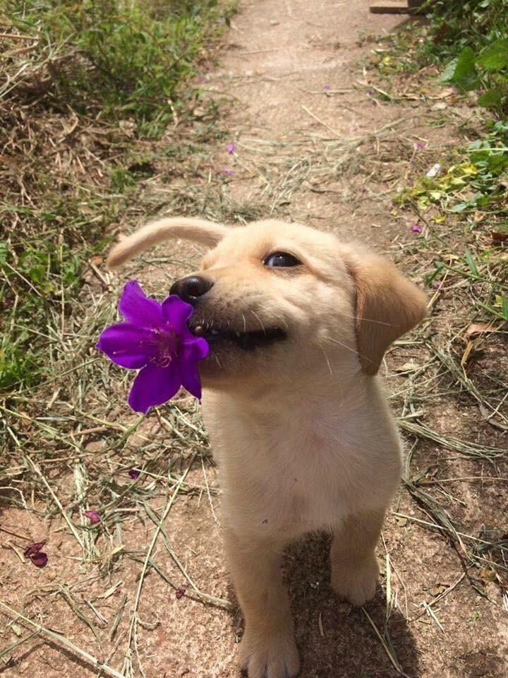 twaniimals's tweet photo. 💜 https://t.co/N2kE7OMxEn