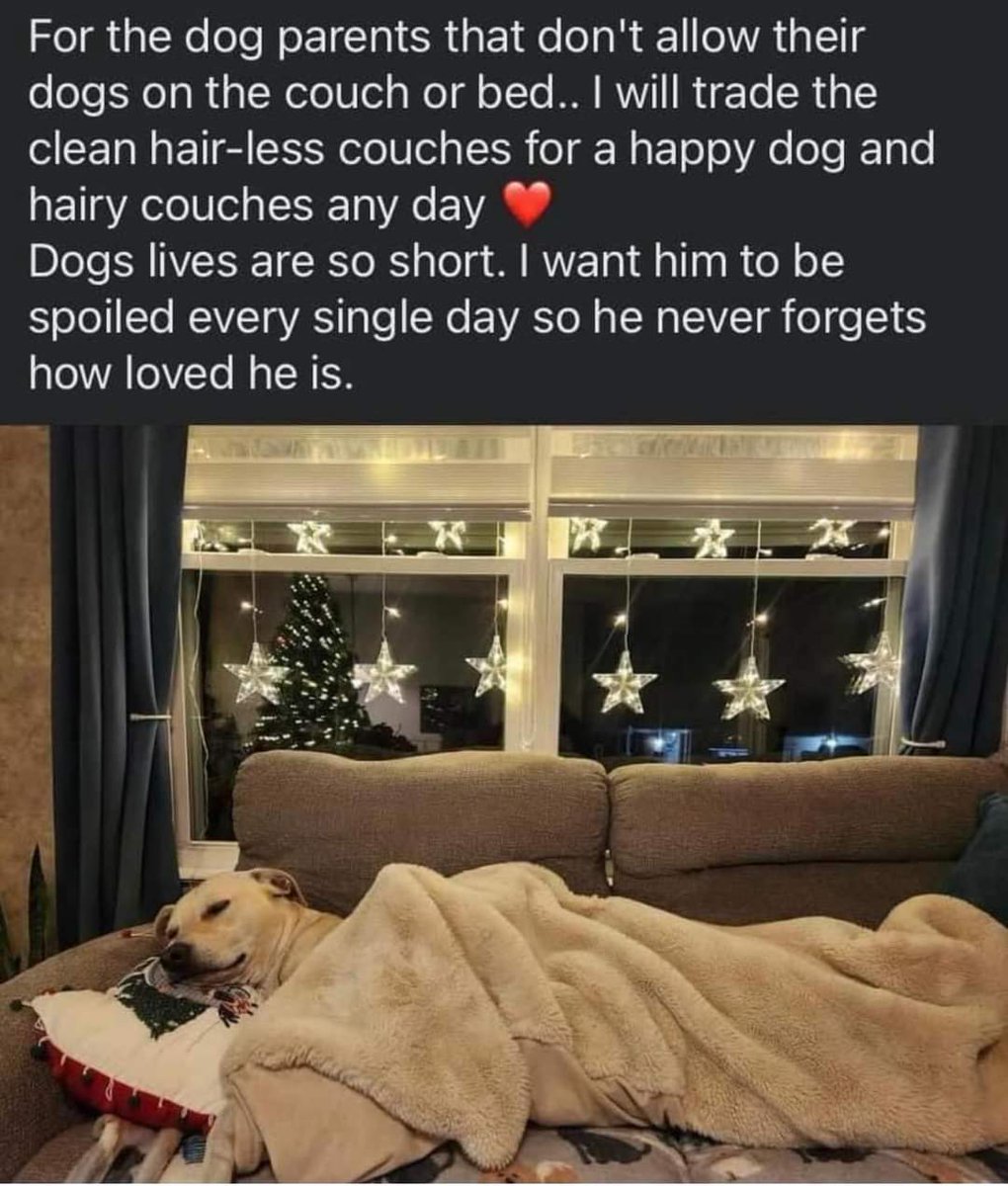 thehappydog_'s tweet photo. That’s so true 👌 https://t.co/F9IuE8cV1h