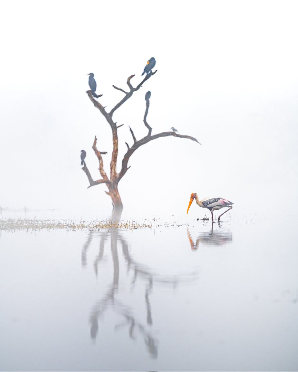 trikansh_sharma's tweet photo. Vision helps in creating art, camera is a tool. So what should we upgrade first ? #PhotographyIsArt https://t.co/eB221Ac1Va