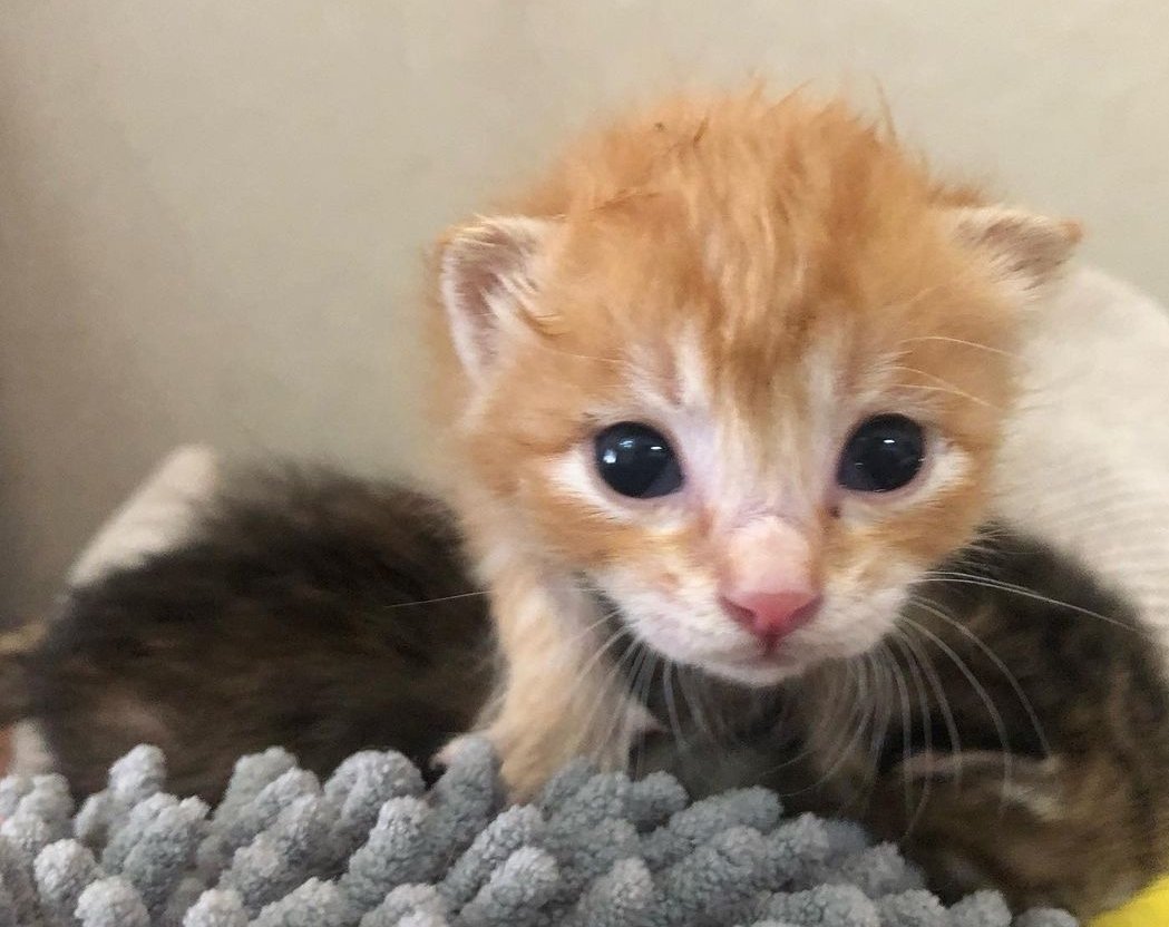 At first i lol'd.

But then I was serious.