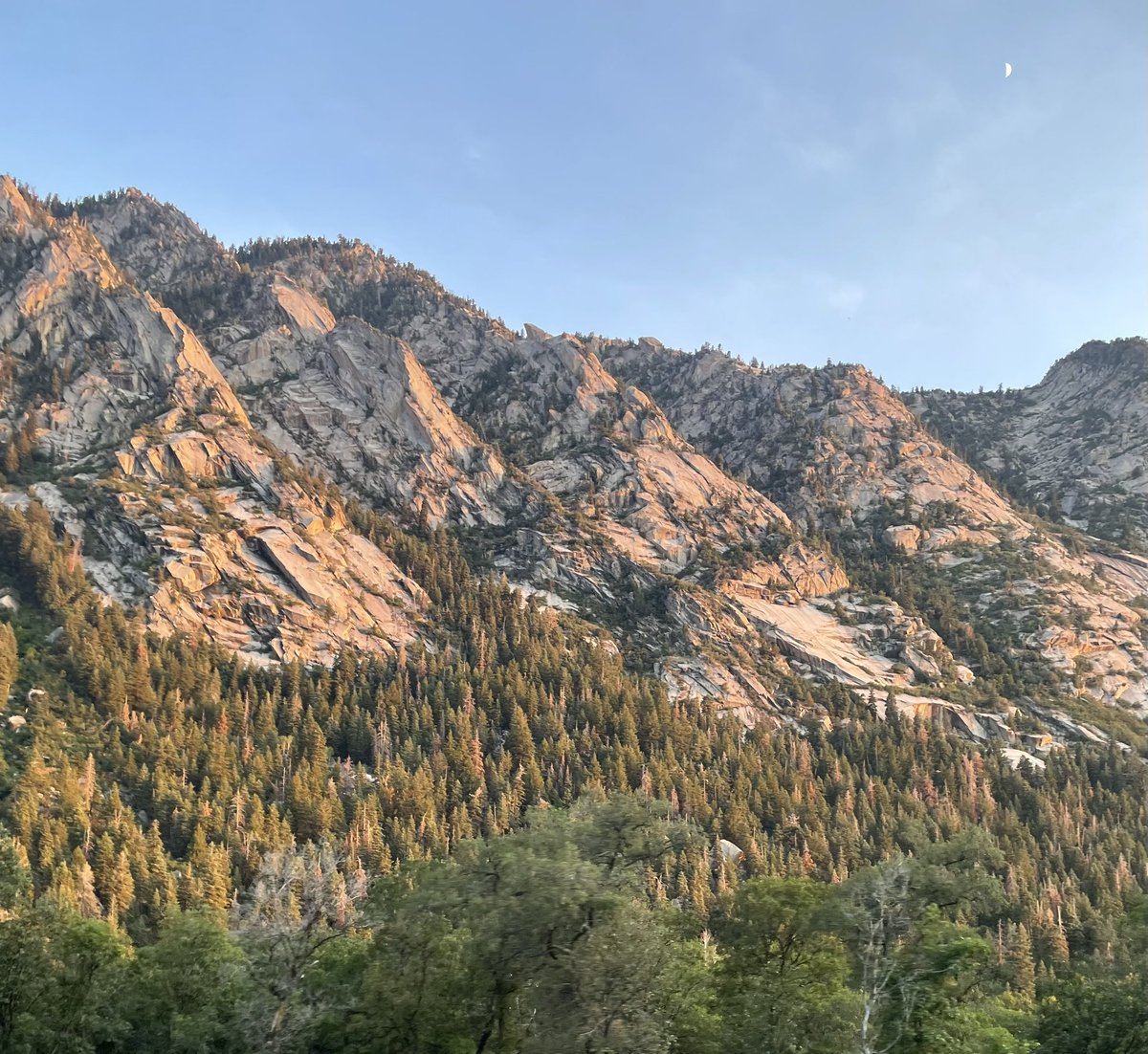 Michael Mower tweet media