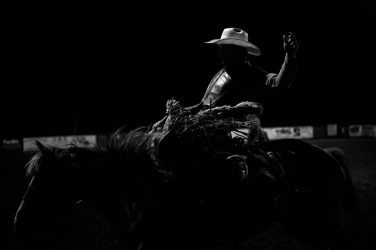 Harley Warrick tweet media