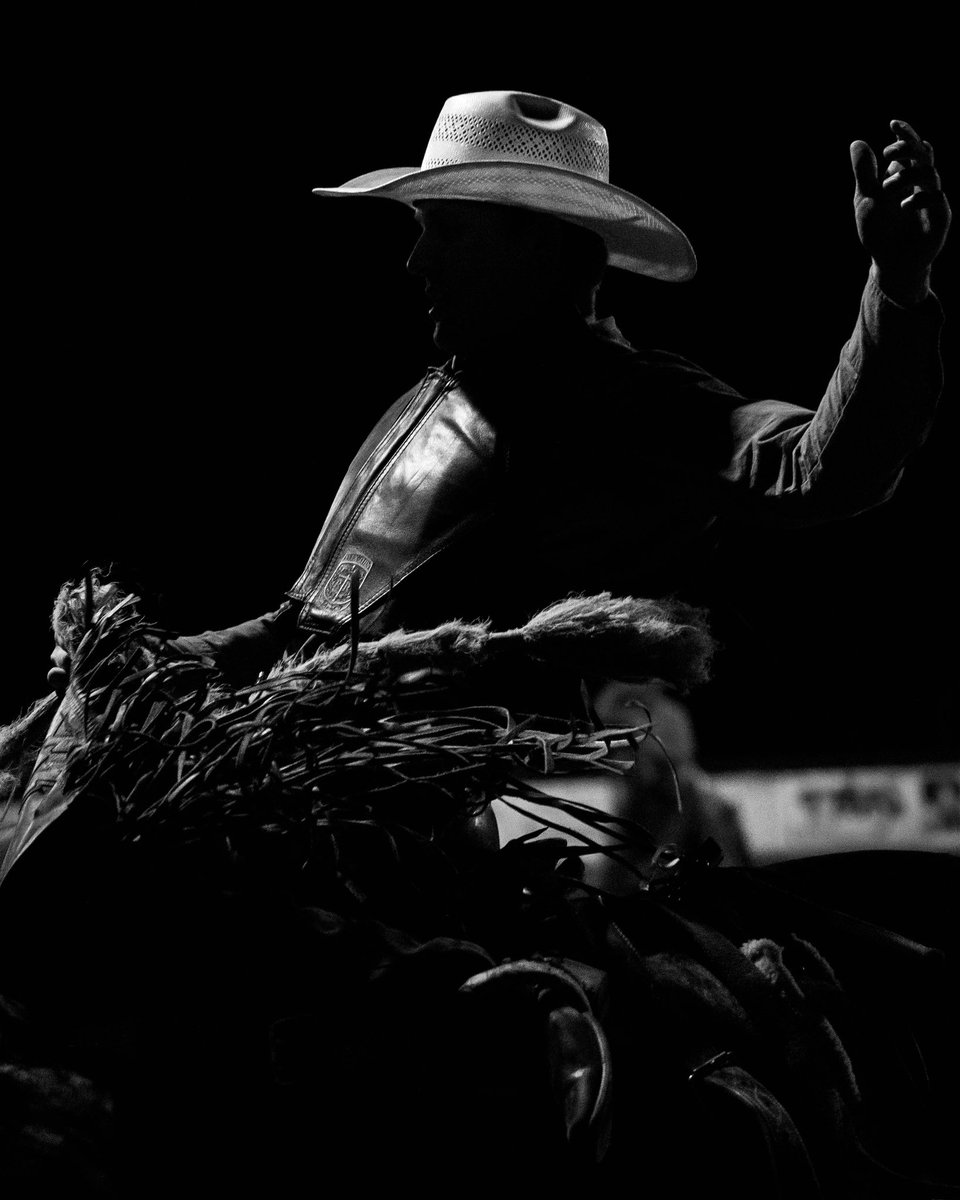 Harley Warrick tweet media