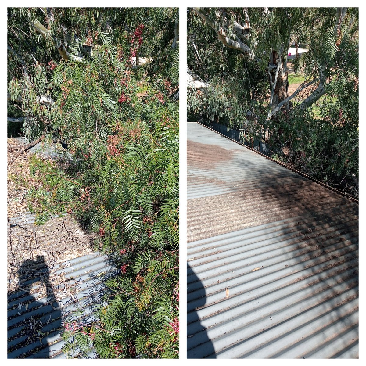 GutterSa's tweet image. gutterguysadelaide.blogspot.com/2024/07/the-in…