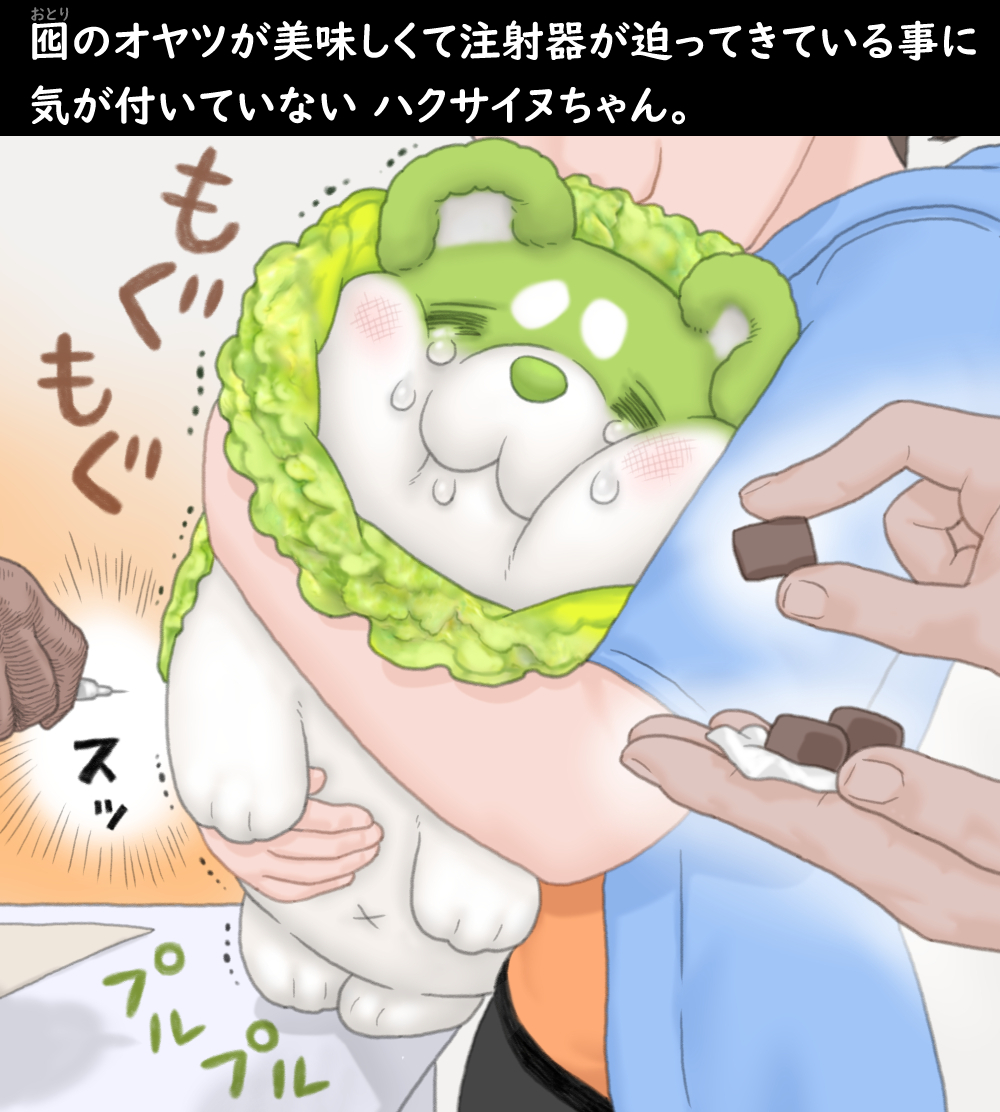 ハクサイヌちゃん お注射 まとめ 2 