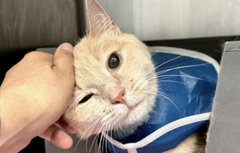 Yes dear senior lovers, it is true
grandma Coral is safe thanks to me &amp; you!
New Hope Rescue Ranch did care
&amp; got this #NewYork oldie out of there!
Now just one small task does remain
&amp; for us to honor pledges for Coral's gain!
PayPal : newhoperescueranch@hotmail.com
Thank you!