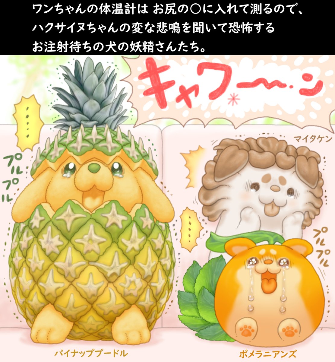 ハクサイヌちゃん お注射 まとめ 2 