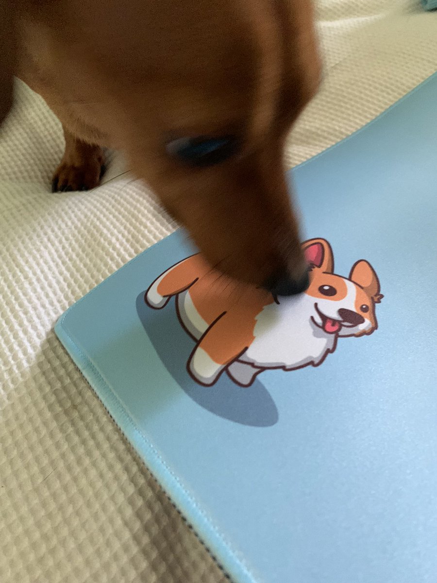 if you’re interested in picking up a beautiful, high-quality, super snazzy mousepad, consider <a href="/arcaloot/">Arcaloot</a> 🌟

charlie &amp; i are obsessed with our new “chibi steve” mousepad hehe! 🩵 you should totally match with us! 👀 

use code “koko” for 10% off! 💛