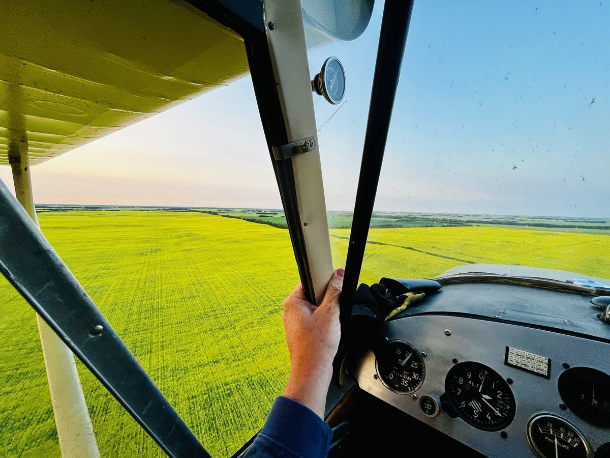 ShawnJacula's tweet photo. Had to crack a window on this evenings #cropcheck #FXJU @AlbertaCanola https://t.co/d1ueIiFd3T