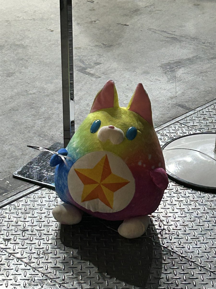 manamero__'s tweet photo. 売り場にいた子

 #発見スタコラ虹たぬき 
#白猫フェス2024 https://t.co/rwgVCImf1O