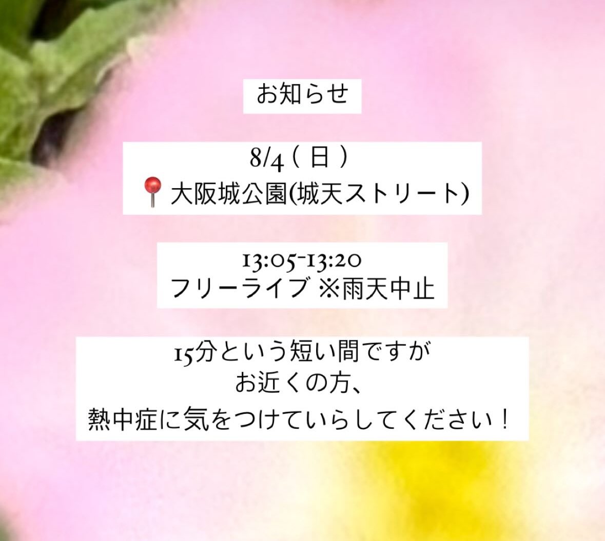 丸山純奈 tweet media
