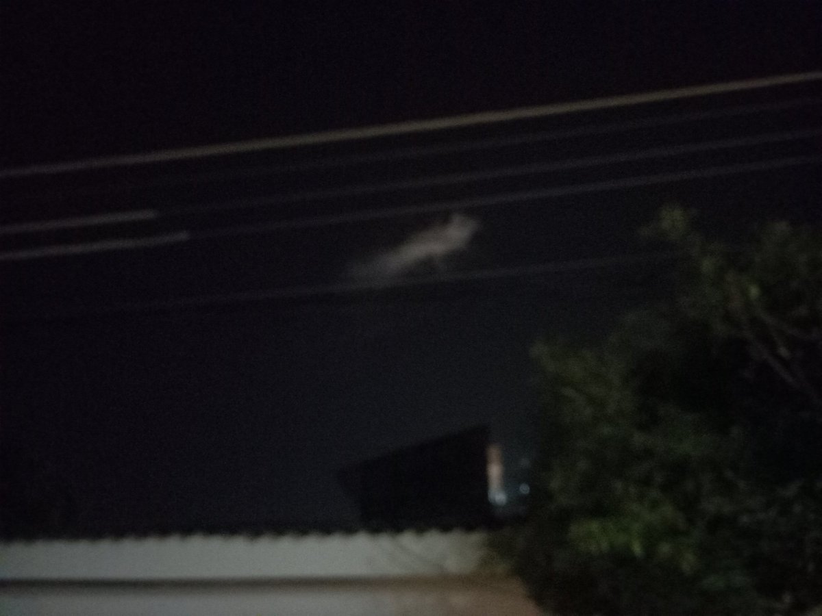 Monteria_Humana's tweet photo. #Atención ¡Reportan fuerte explosión en Montería! #Córdoba https://t.co/5xE58w0Lv3