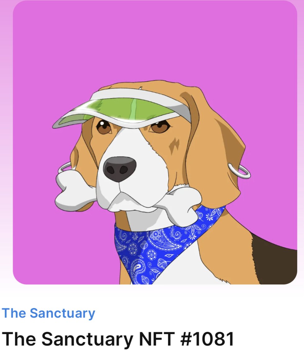 🐕‍🦺🦴🐕‍🦺🦴🐕‍🦺🦴🐕‍🦺🦴🐕‍🦺🦴🐕‍🦺🦴

Time to onboard yet another new holder ♥️

Let's #Giveaway this very rare Poker visor <a href="/DogSanctuaryNFT/">The Sanctuary NFT</a> #nft to one lucky person!

The winner will also choose 1 non-holder to gift an additional <a href="/DogSanctuaryNFT/">The Sanctuary NFT</a> pup from us

Must:
-❤️♻️ and tag 3

24hrs