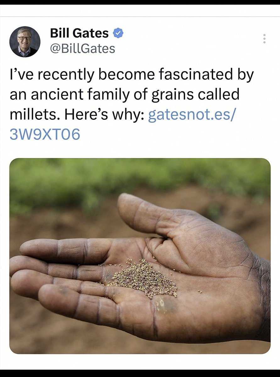 Kipkendin_'s tweet photo. Bill Gates role in food systems in Kenya and Africa must be scrutinized.
Let the imperialists keep of our seeds. https://t.co/l1f7i8nUaU