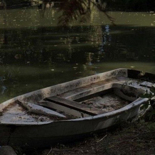 YOULOOKSTUPlD's tweet image. Let me be there for you, pussy !